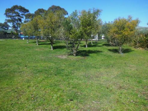 1/9 Johnston Street, Waipara