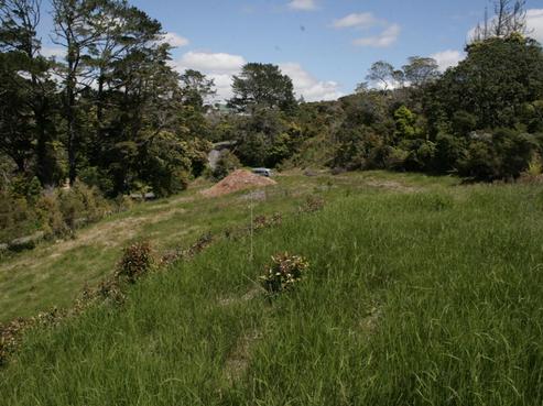 8 Hobbs Road, Matakatia