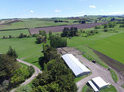 386 Otama Valley Road, Gore Surrounds