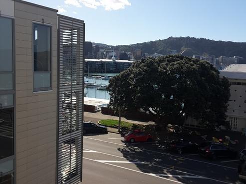 3/144 Oriental Parade, Oriental Bay