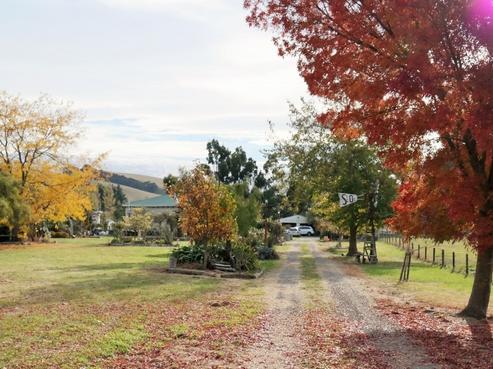 327 Bluff Rangitumau Road, Mauriceville