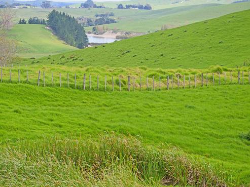 1438 Oneriri Road, Kaiwaka