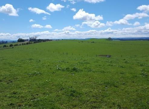 438 Waotu South Road, Putaruru