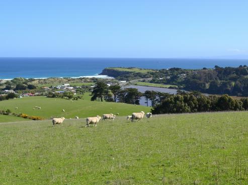 261 Tomahawk Road, Ocean Grove