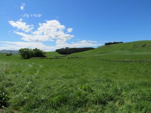 633 Greenvale Road, West Otago Surrounds