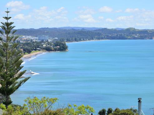 60 Vipond Road, Stanmore Bay