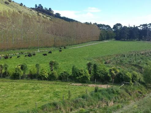 431 Mcqueens Valley Road, Motukarara
