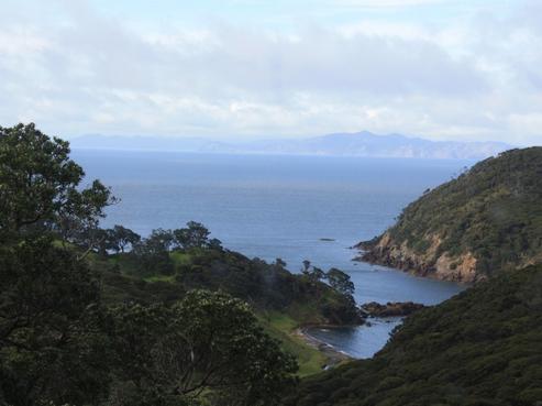 250 Cape Barrier Road, Great Barrier Island