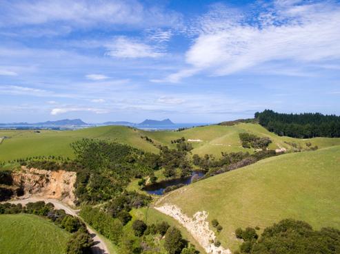 591 Ormiston Road, Ruakaka