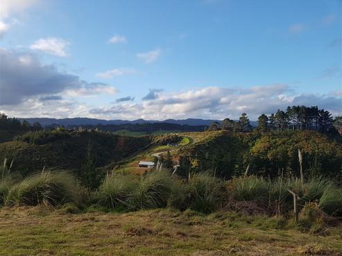 4 Radiata Road, Warkworth