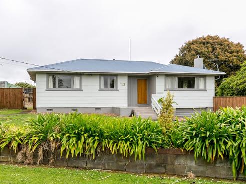 255 Huatoki Street, Upper Vogeltown