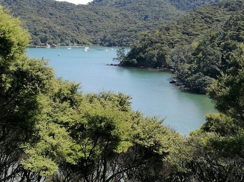 687 Whangaparapara Road, Great Barrier Island