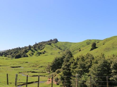 173 Tuite Road, Nukuhou