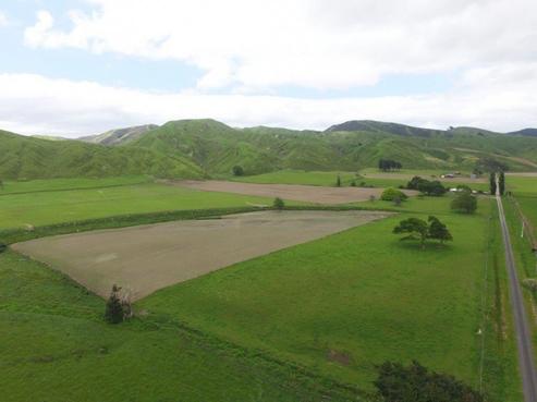 67 Piert Road, Woodville