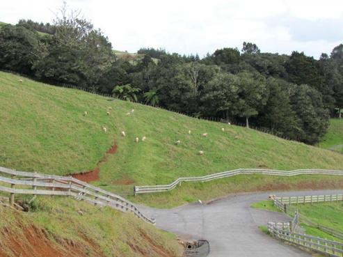185 Millington Road, Maunu