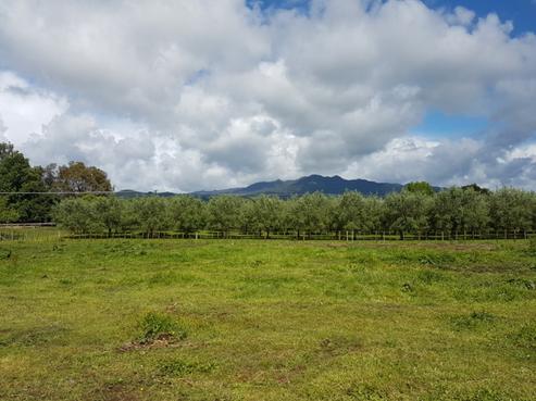 2/854 Frontier Road, Pirongia