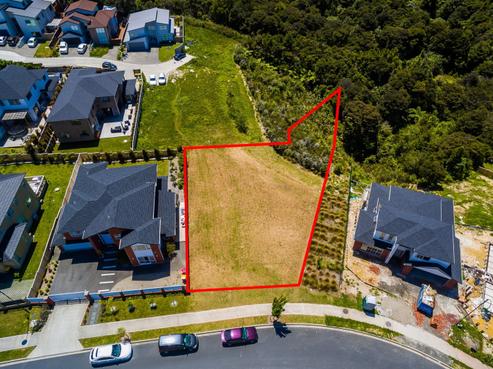 24 Golden Morning Drive, Albany Heights