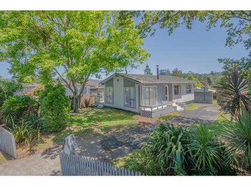 20 Luanda Drive, Ranui