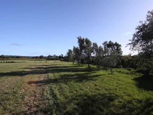 33 Burgundy Drive, Martinborough
