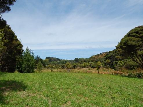 72 Taiapa Road, Muriwai