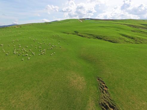 410 Charteris Bush Road, West Otago Surrounds