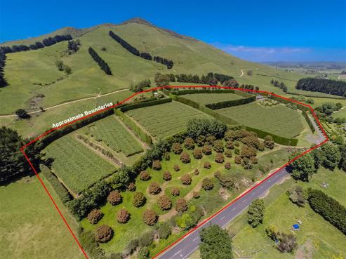 795 Pokuru Road, Te Awamutu