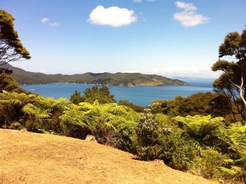 28 Schooner Bay Road, Great Barrier Island