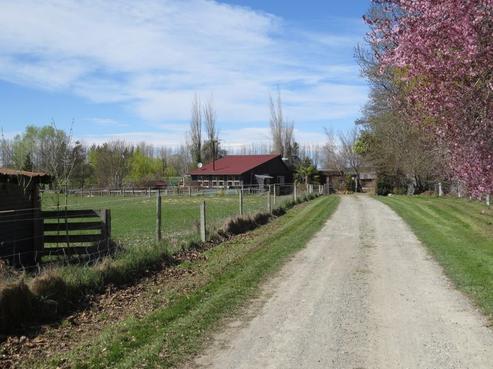 167 Nixons Road, Fairlie