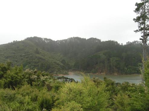 8 Edith Ridge Road, Kawau Island
