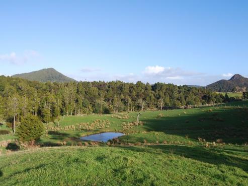 517 Ti Kouka Way, Kaiwaka
