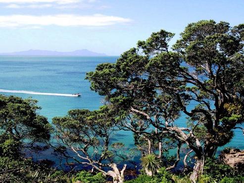 1127 Cove Road, Langs Beach