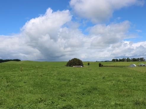 1190 Lake Arapuni Road, Putaruru