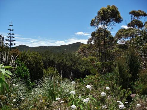 40 Matariki Place, Karikari Peninsula