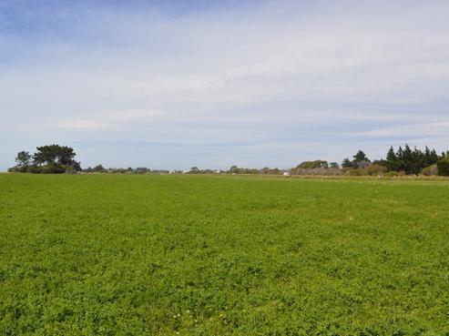 255 Waimate Highway, Saint Andrews