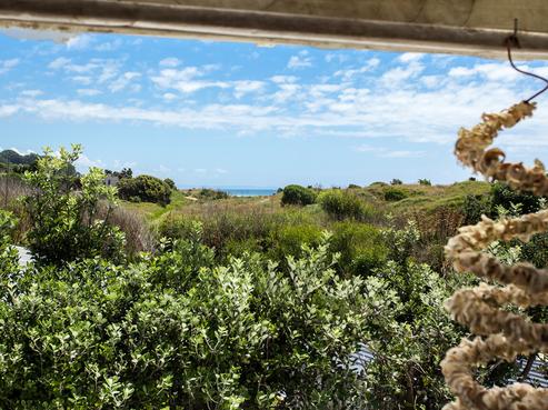 805 State Highway 35, Opotiki and Surrounds