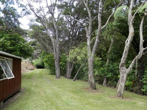 5449 Masterton Castlepoint Road, Tinui