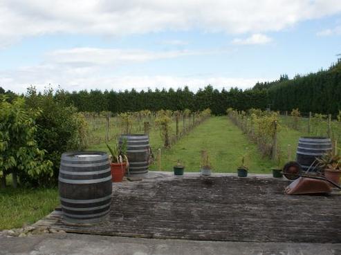 79 Arcus Road, Te Horo