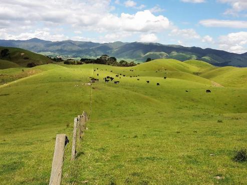 139 Zigzag Road, Pohangina