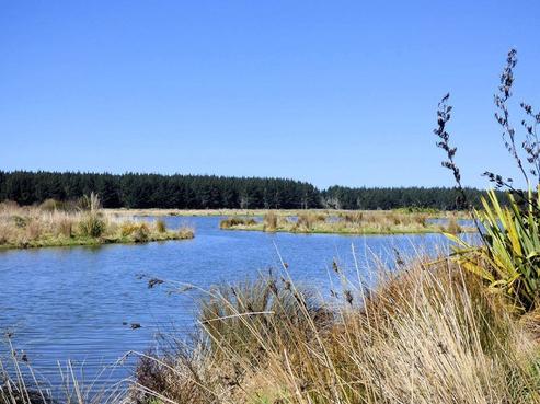 77 Te Hurunui Drive, Pegasus