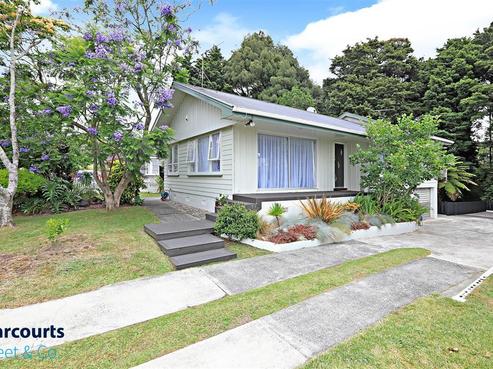 47 David Avenue, Hillpark