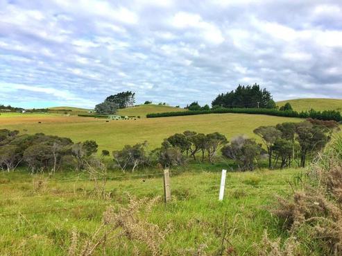134 Hihi Road, Mangonui