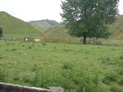 1865 Ohura Road, Waimiha-Ongarue