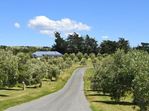 142B Dublin Street, Martinborough