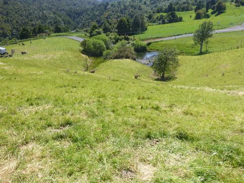 111A Dickey Flat Road, Waikino
