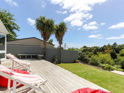 65 Mill Road, Lower Vogeltown