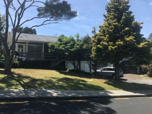 48 Saffron Street, Birkdale