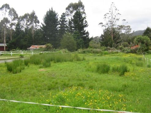 55 Somerled Avenue, Dunollie