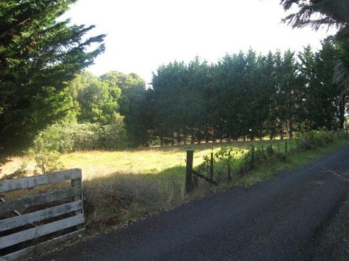 120 Turvey Road, Mangonui