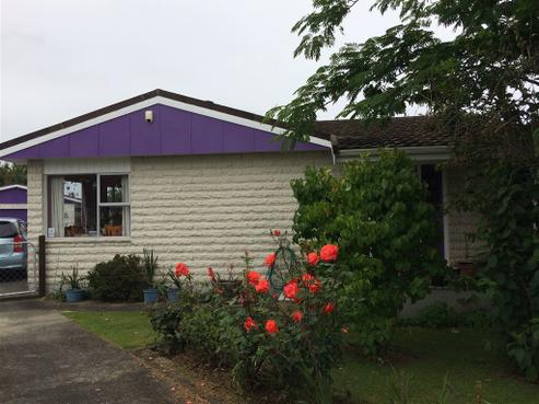 28 Braemar Street, Levin