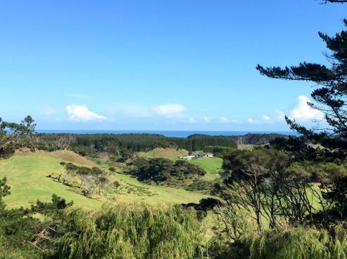 315 West Coast Road, Awanui